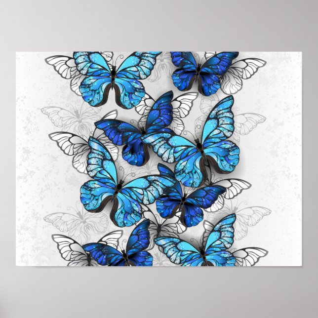 Affiche Composition de papillons blancs et bleus (Devant)
