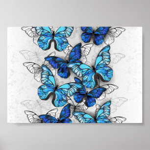 Affiche Composition de papillons blancs et bleus