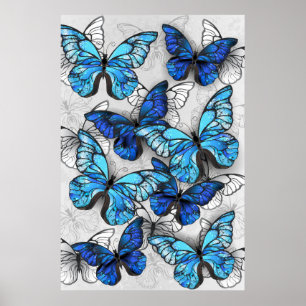 Affiche Composition de papillons blancs et bleus