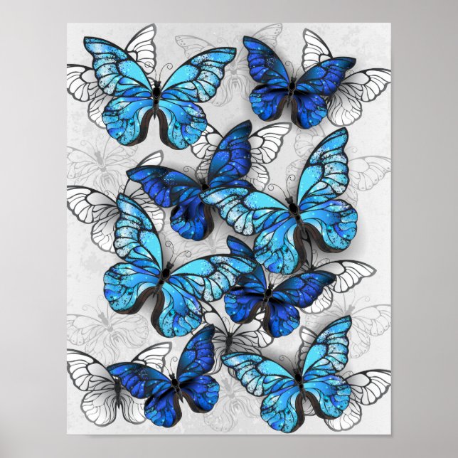 Affiche Composition des White and Blue Butterflies (Devant)