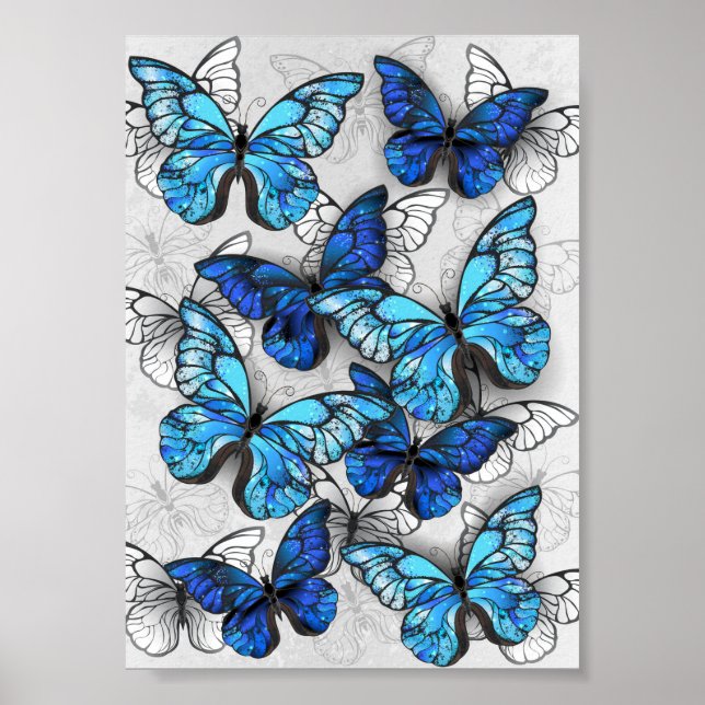 Affiche Composition des White and Blue Butterflies (Devant)