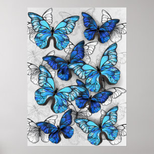 Affiche Composition des White and Blue Butterflies