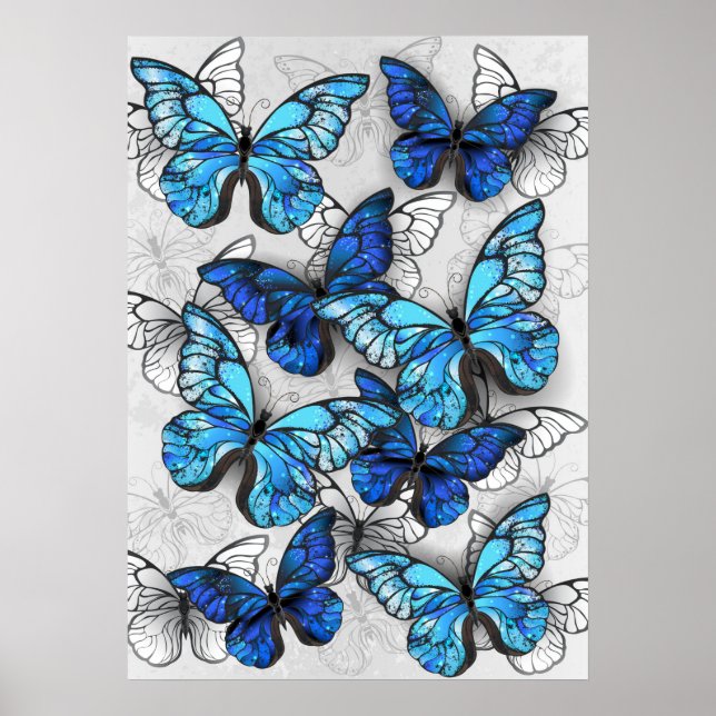 Affiche Composition des White and Blue Butterflies (Devant)