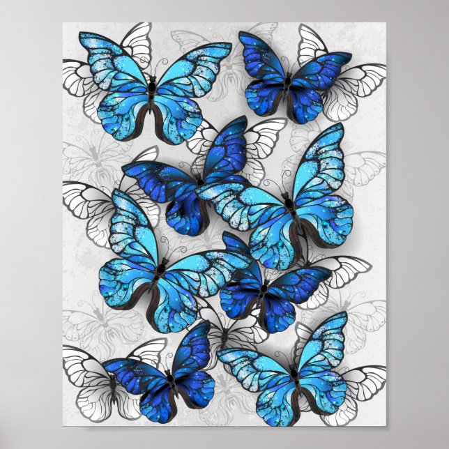 Affiche Composition des White and Blue Butterflies (Devant)