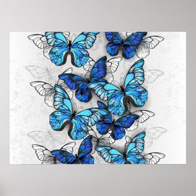 Affiche Composition des White and Blue Butterflies (Devant)