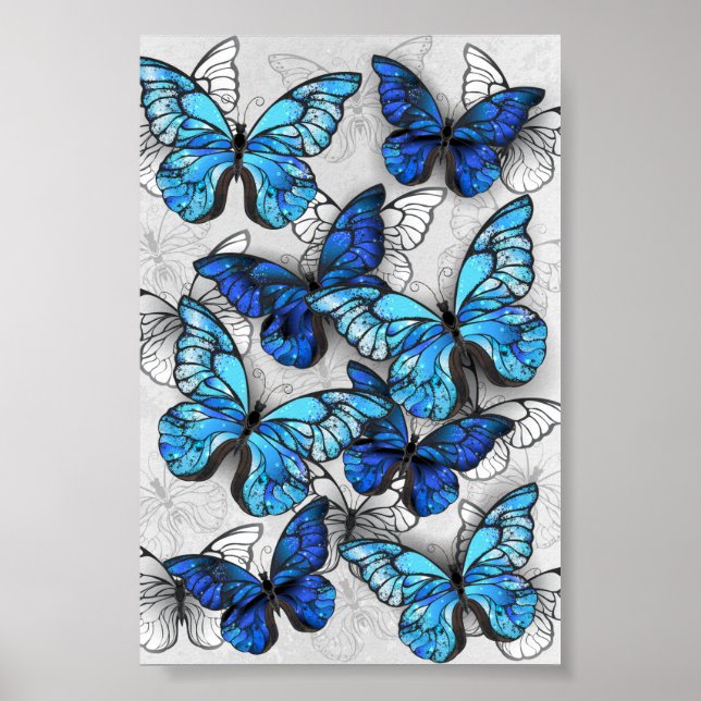 Affiche Composition des White and Blue Butterflies (Devant)