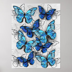 Affiche Composition des White and Blue Butterflies