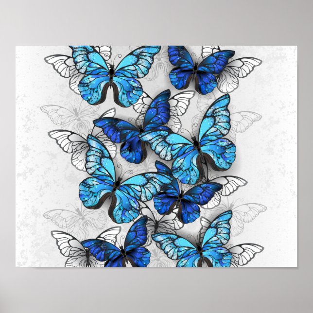 Affiche Composition of White and Blue Butterflies (Devant)