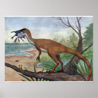 Affiche Compsognathus