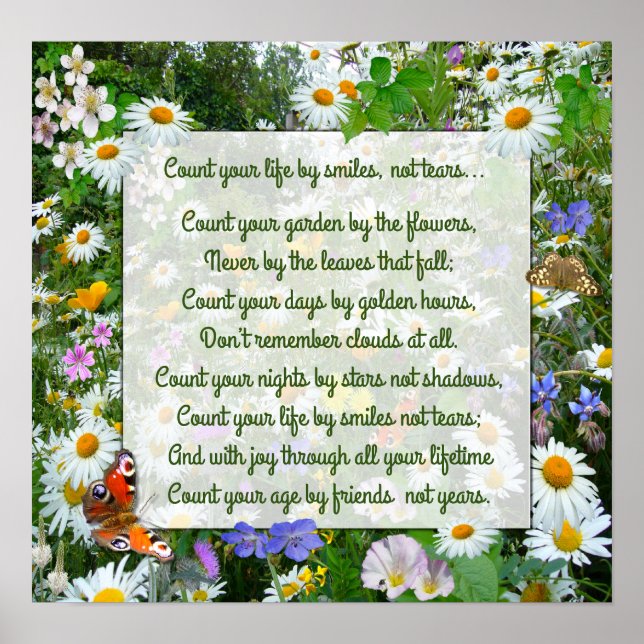 AFFICHE "COMPTEZ VOTRE VIE AVEC DES SOURIRES" (Devant)