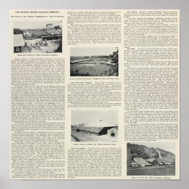 Affiche Comté de Sonoma, Californie (Devant)