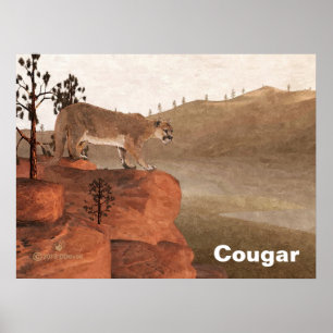 Affiche Concentration - Cougar