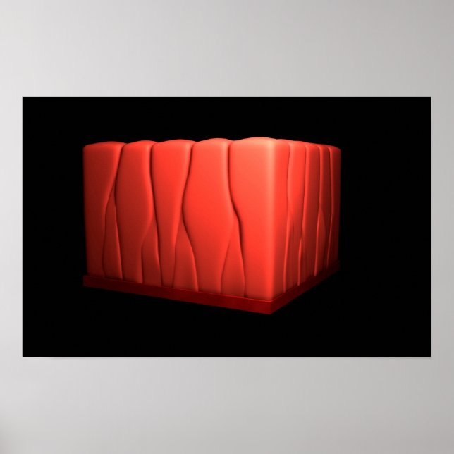 Affiche Concept D'Épithélium Columnaire Pseudostratifié (Devant)