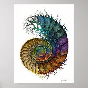 Affiche Concept Fossil Ammonite dans des couleurs d'encre
