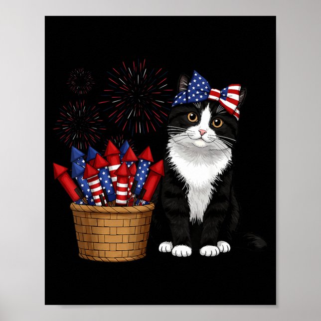 Affiche conception de chat et de feux d'artifice du 14 jui (Devant)