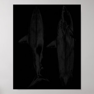 Affiche Conception de dérive de planche de surf requin coo