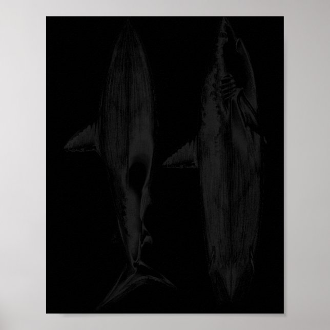 Affiche Conception de dérive de planche de surf requin coo (Devant)
