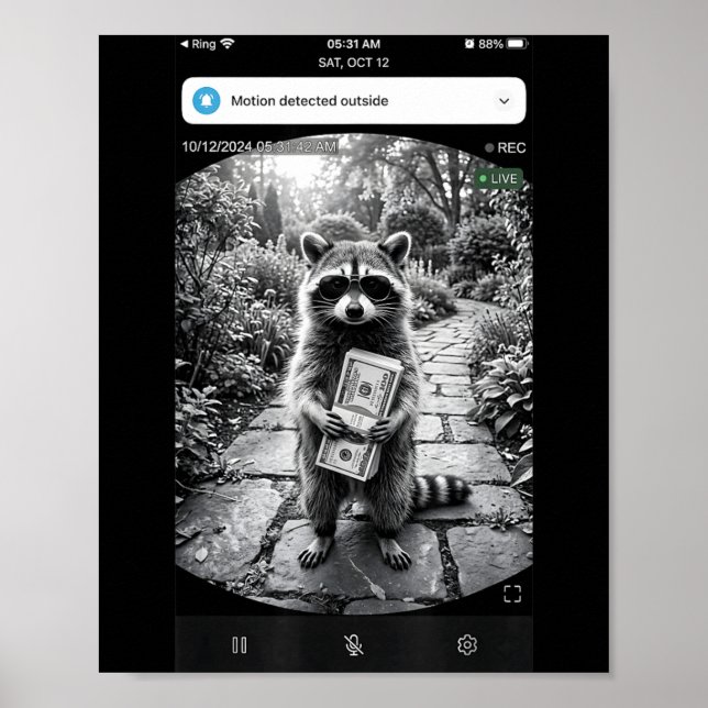 Affiche Conception de mème de caméra de porte Raccoon Cash (Devant)