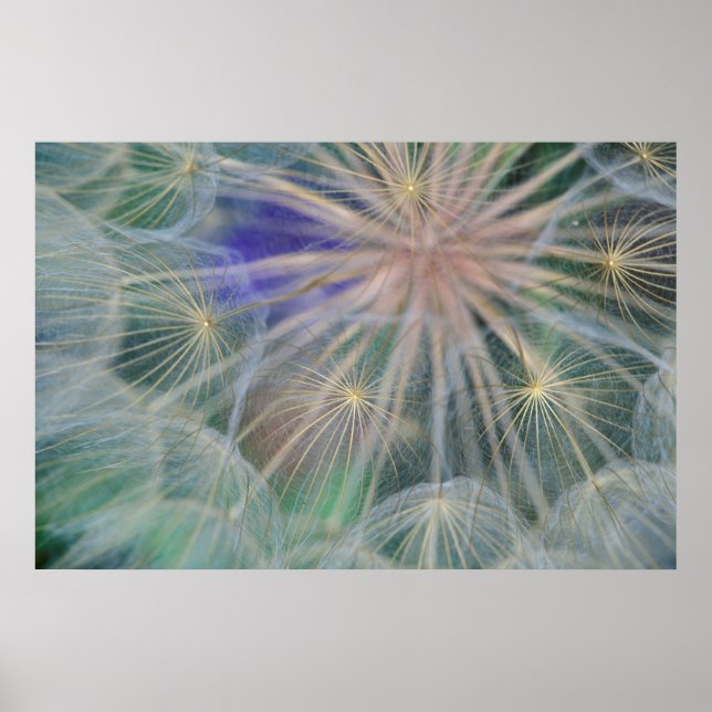 Affiche Conception des têtes de semences | Gennesse, Idaho (Devant)