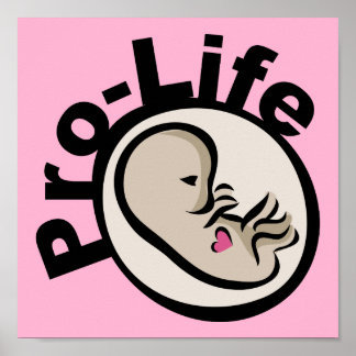 Affiche Conception du foetus pro-vie