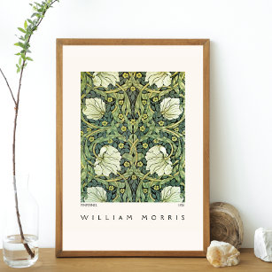 Affiche Conception du Pimpernel William Morris Moderne