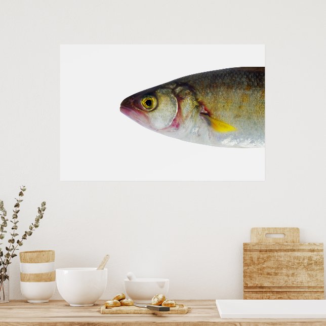 Affiche Conception du poisson (Cuisine)