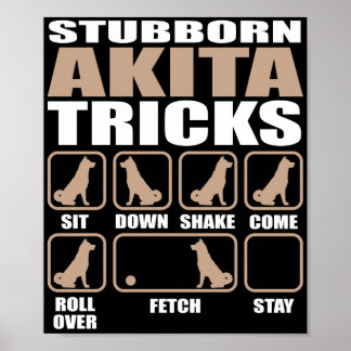 Affiche Conception Stubborn Akita Tricks