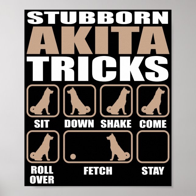 Affiche Conception Stubborn Akita Tricks (Devant)