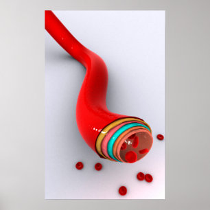 Affiche Conceptual Image Of A Blood Vessel
