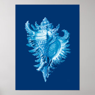 Affiche Conch Shell Sea Life Imprimer, Indigo bleu et blan