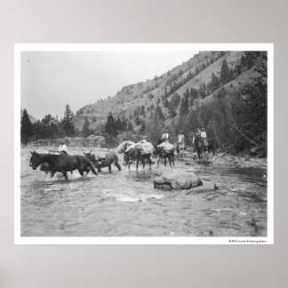 Affiche Conduire des mules à travers une rivière