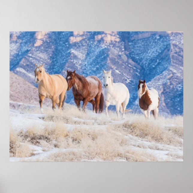 Affiche Conduite de chevaux de cow-boy au ranch Hideout (Devant)