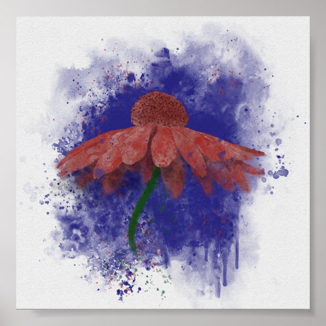 Affiche Coneflower (Devant)