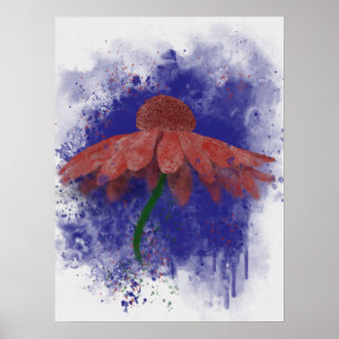 Affiche Coneflower