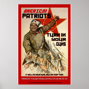 Affiche Confiscation d'armes à feu - 2ème amendement