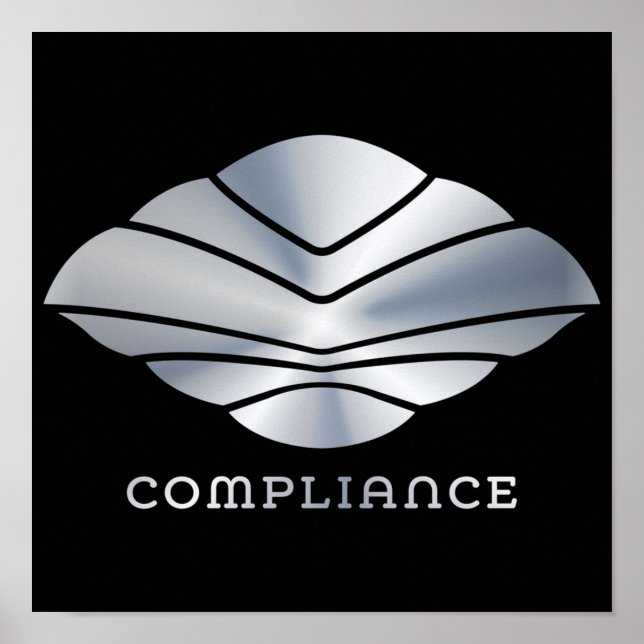 Affiche Conformité MAX du vol du Navigateur (Devant)