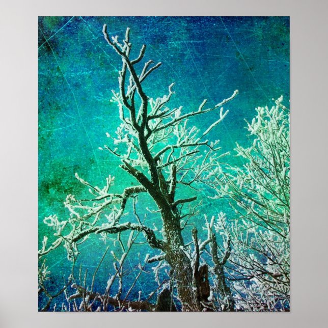 Affiche Congelé (Devant)