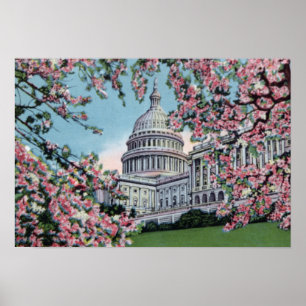 Affiche Congrès Capitol Hill Cherry Blossom