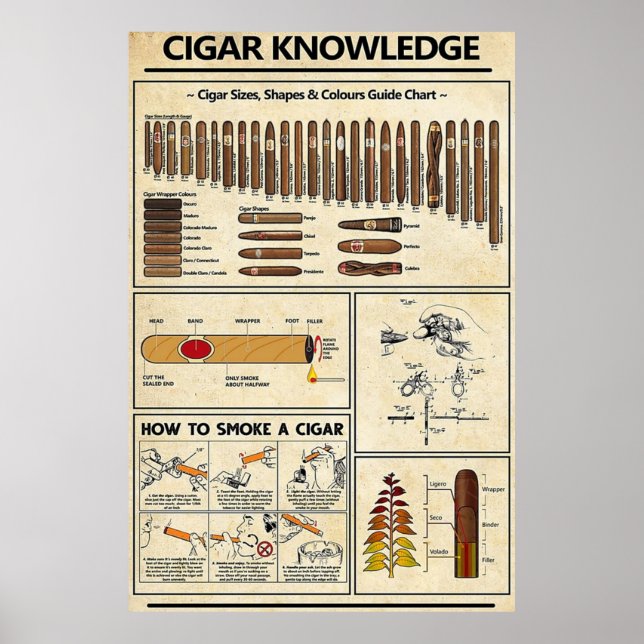 Affiche Connaissance du cigar (Devant)