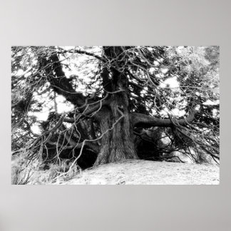 Affiche Connaissances