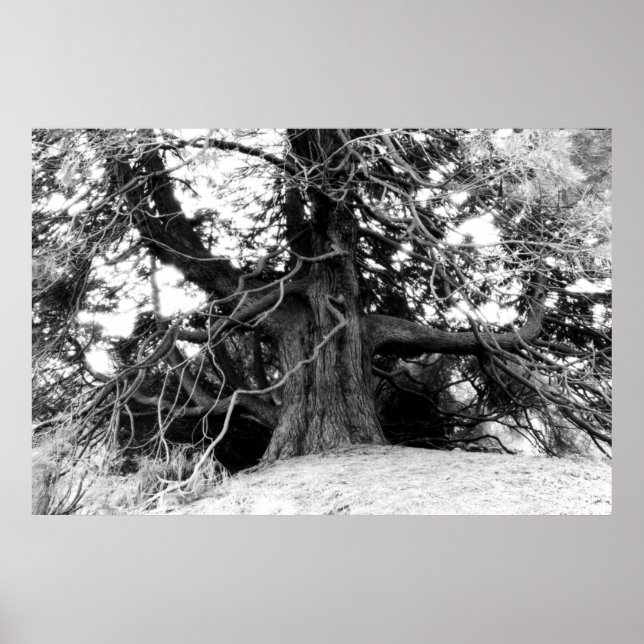 Affiche Connaissances (Devant)