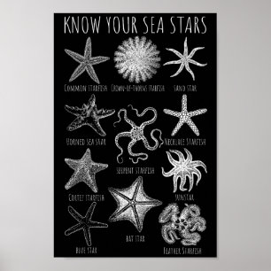 Affiche Connaissez vos étoiles de mer - Groupes Starfish