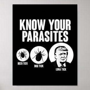 Affiche Connaissez Vos Parasites Deer Tick Chien Tick Tick