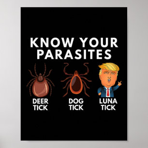 Affiche Connaissez Vos Parasites Deer Tick Dog Tick Luna T