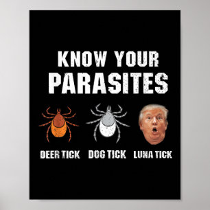 Affiche Connaissez vos parasites - Drôle anti-Trump