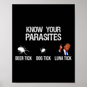 Affiche Connaissez Vos Parasites - Tic De Cerf, Tic De Chi