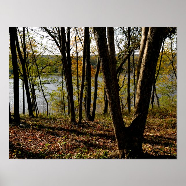 Affiche Connecticut (Devant)