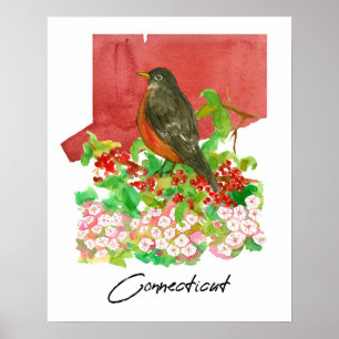 Affiche Connecticut State Robin Oiseau Rouge Aquarelle 