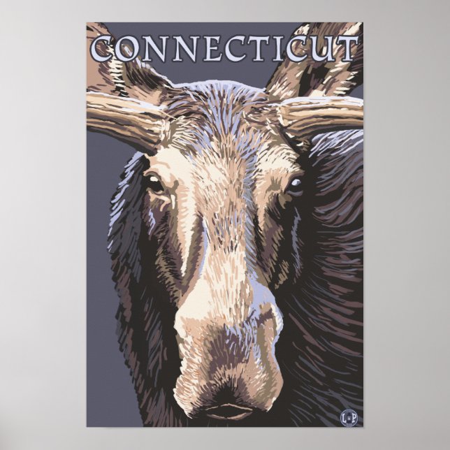 Affiche ConnecticutMoose - Fermer (Devant)