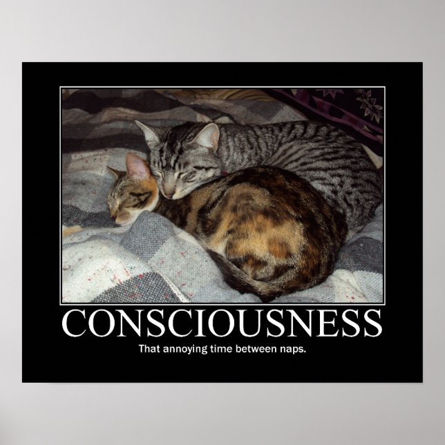 Affiche Conscience...Ce temps agaçant artisanat (Devant)
